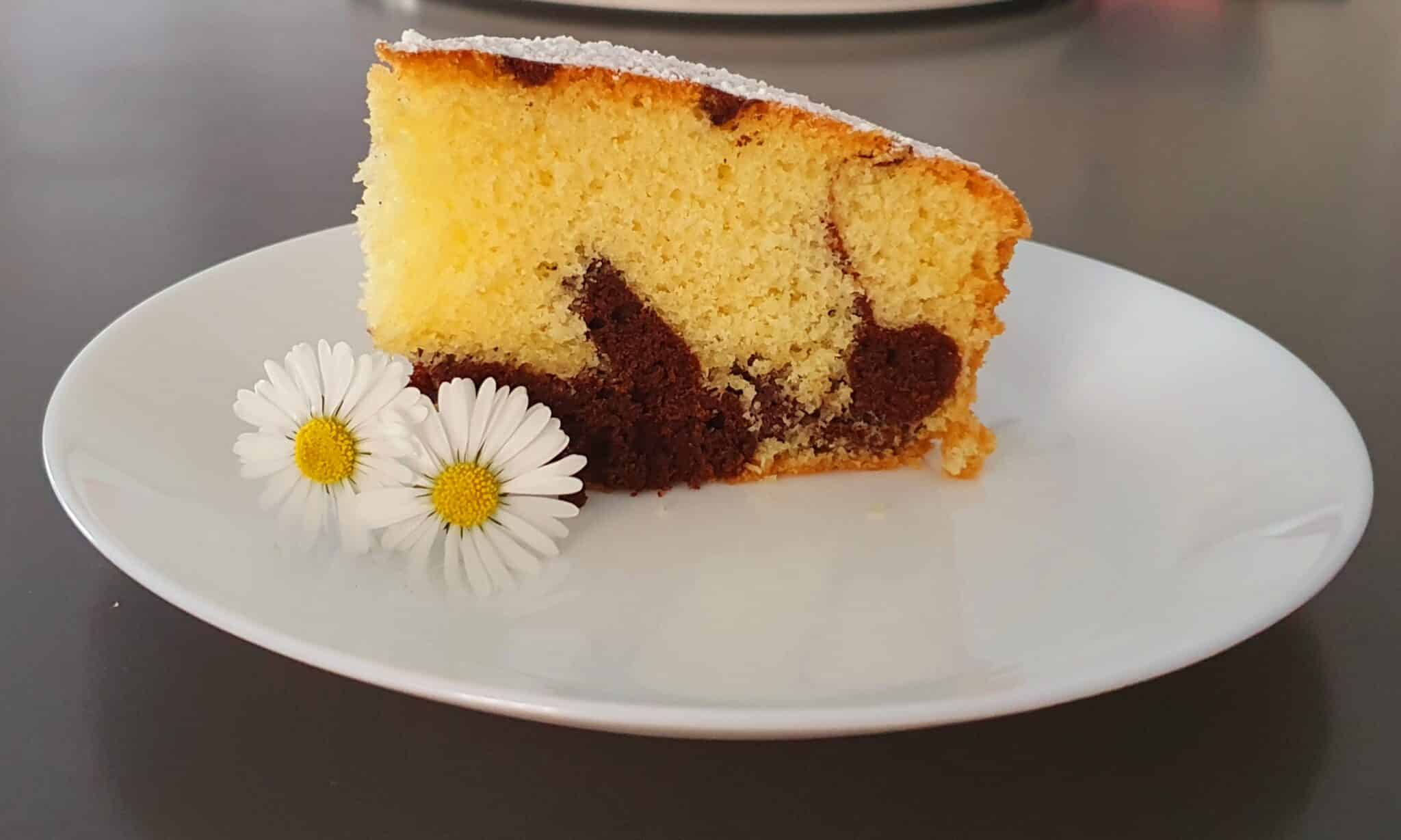 Ciambellone Bicolore Ricetta Fatto In Casa Da Benedetta