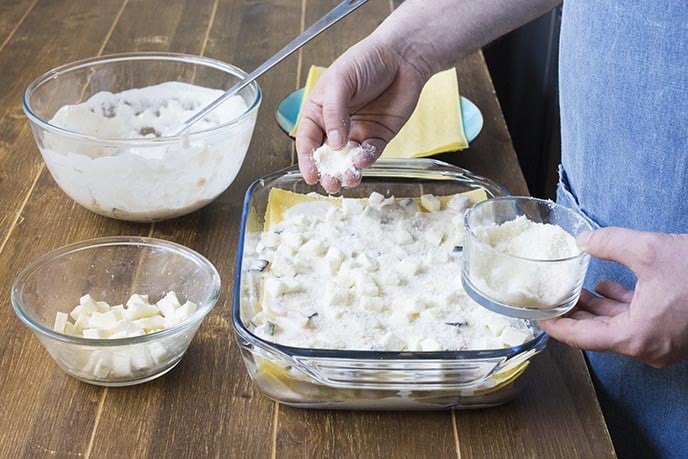 Versate sul fondo di una pirofila un paio di cucchiai di besciamella al salmone, quindi iniziate la stratificazione con le lasagne. Condite ogni strato di lasagne con il condimento di besciamella, qualche cubetto di mozzarella ed una spolverata di grana grattugiato e continuate così fino ad esaurire tutti gli ingredienti.