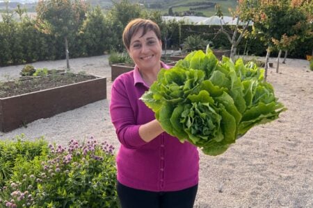 Come conservare l’insalata