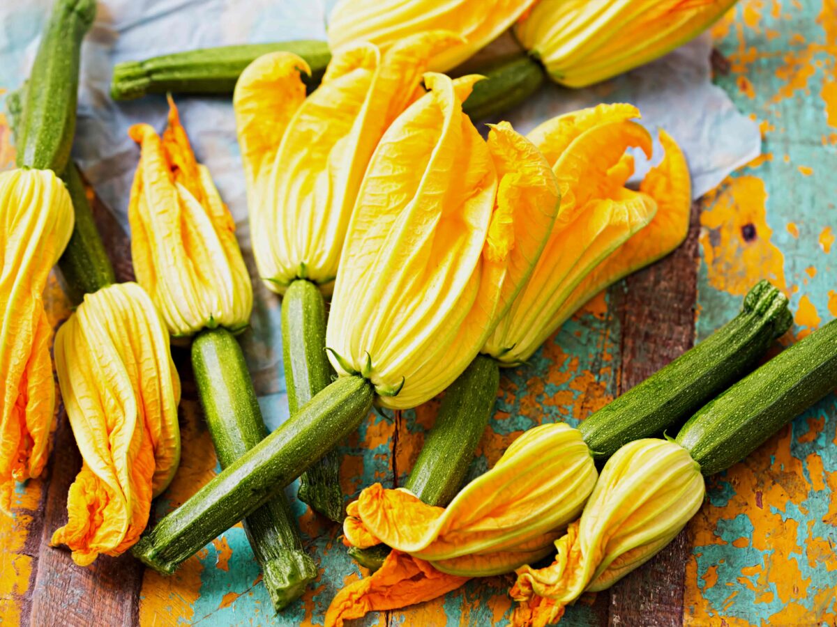 Come conservare i fiori di zucca