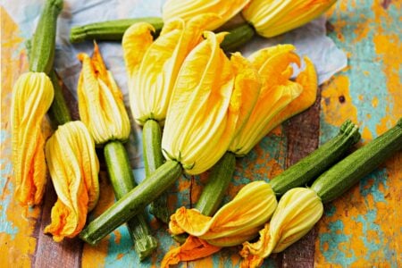 Come conservare i fiori di zucca