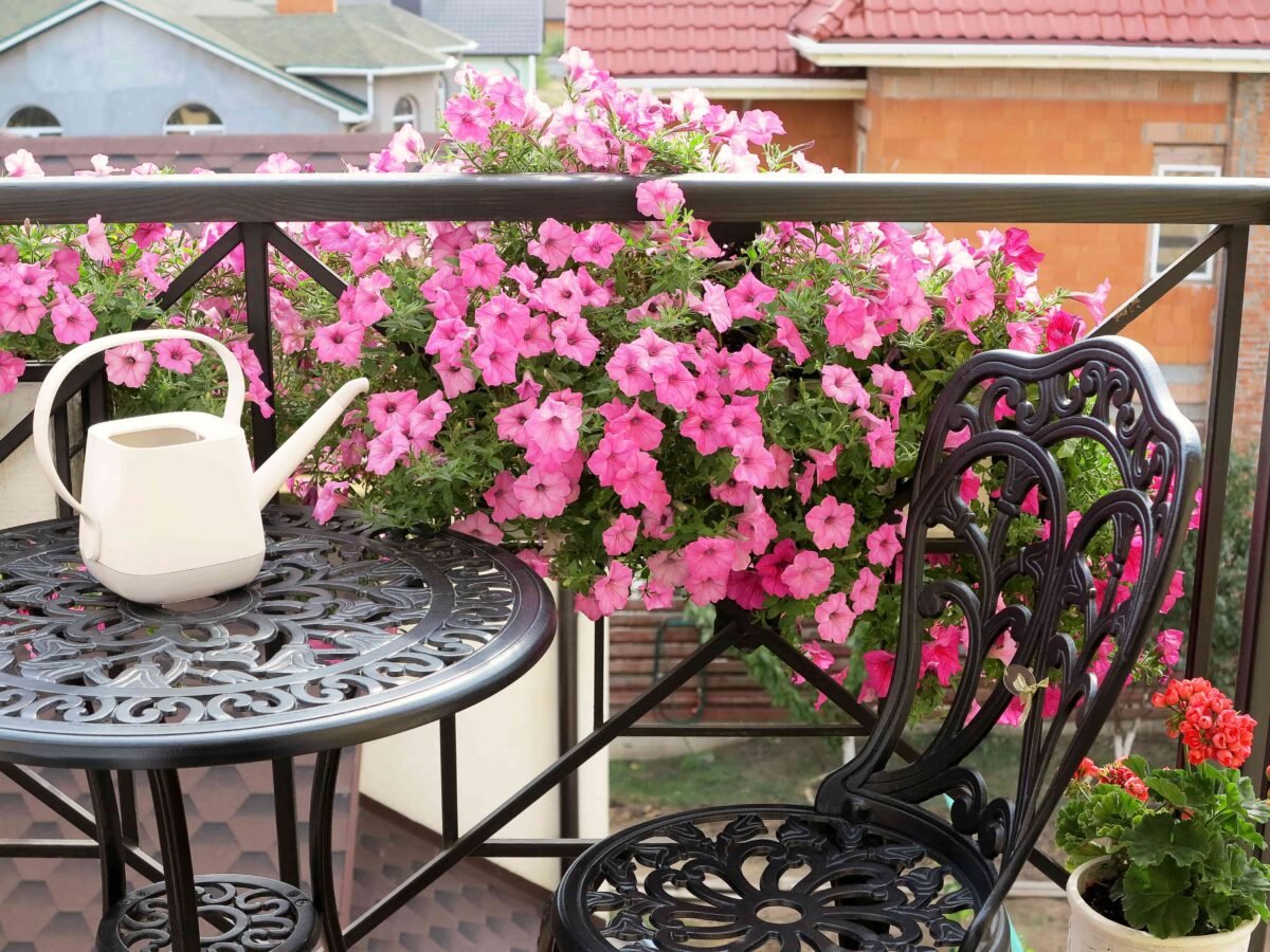 Fiori estivi: quali piantare in giardino o in balcone