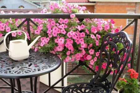 Fiori estivi: quali piantare in giardino o in balcone