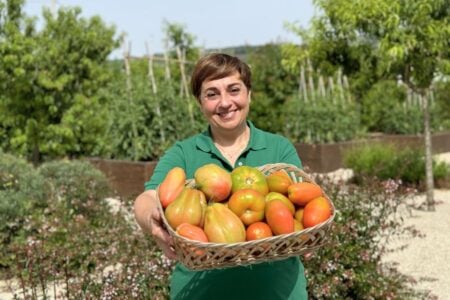 Come piantare i pomodori