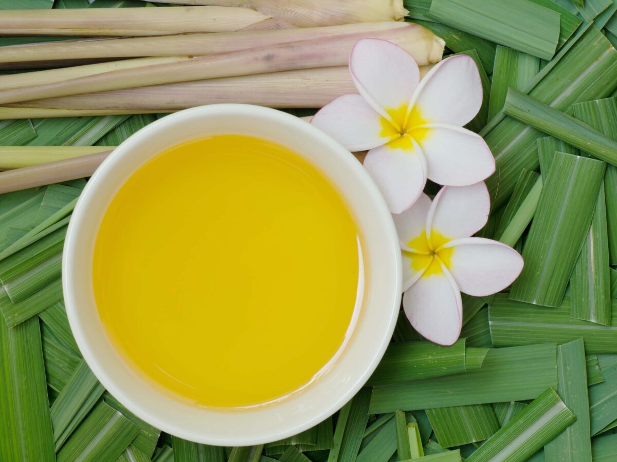 Citronella: che cos’è e come utilizzarla