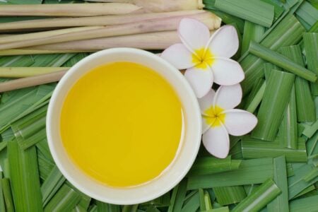 Citronella: che cos’è e come utilizzarla