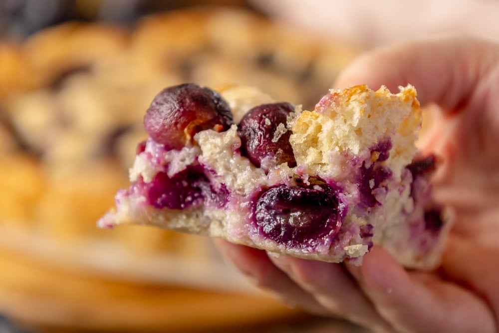 schiacciata con l'uva