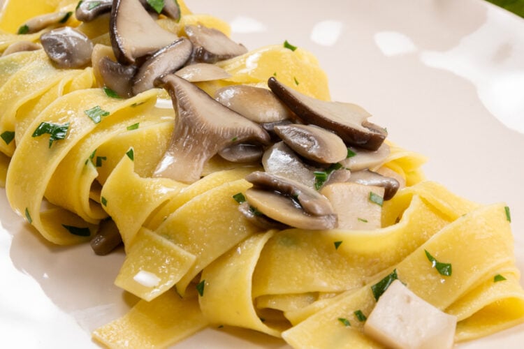 Pappardelle ai funghi