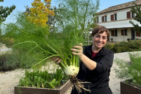 Come raccogliere i finocchi